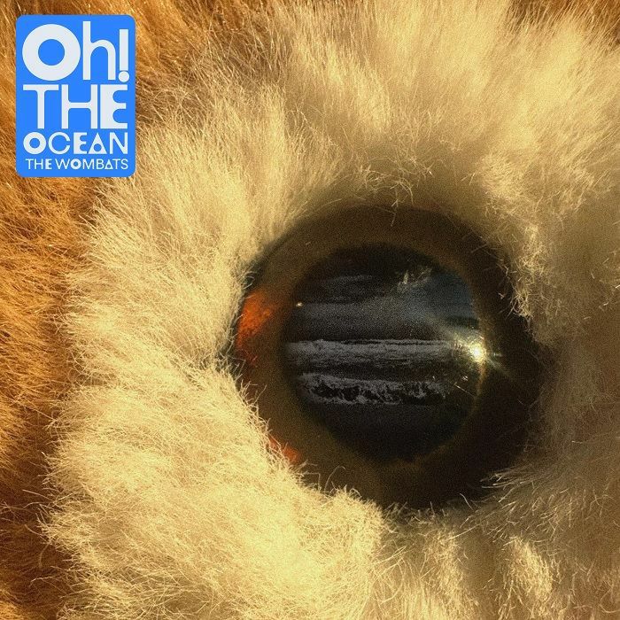 The Wombats – Oh! The Ocean vinyl cover