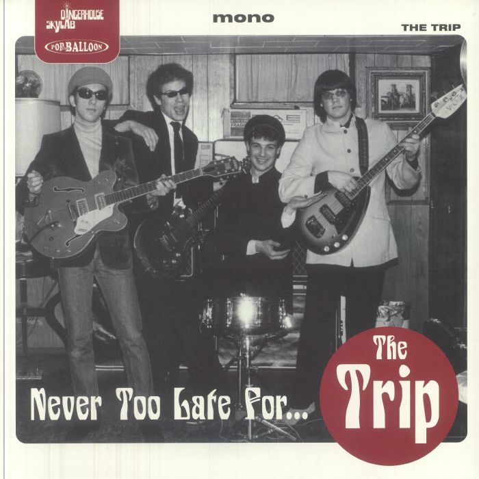 The Trip – Never Too Late For (mono) vinyl cover