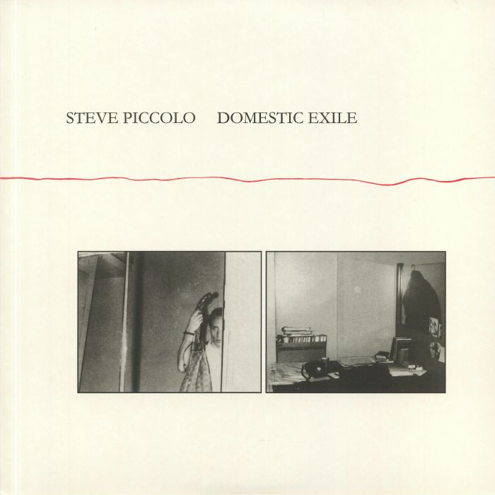 Steve Piccolo Domestic Exile