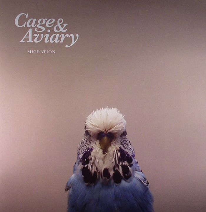 Cage And Aviary Migration