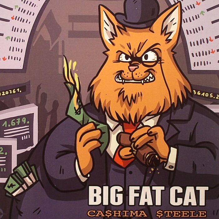 Cashima Steele Big Fat Cat