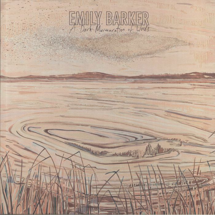 Emily Barker A Dark Murmuration Of Words