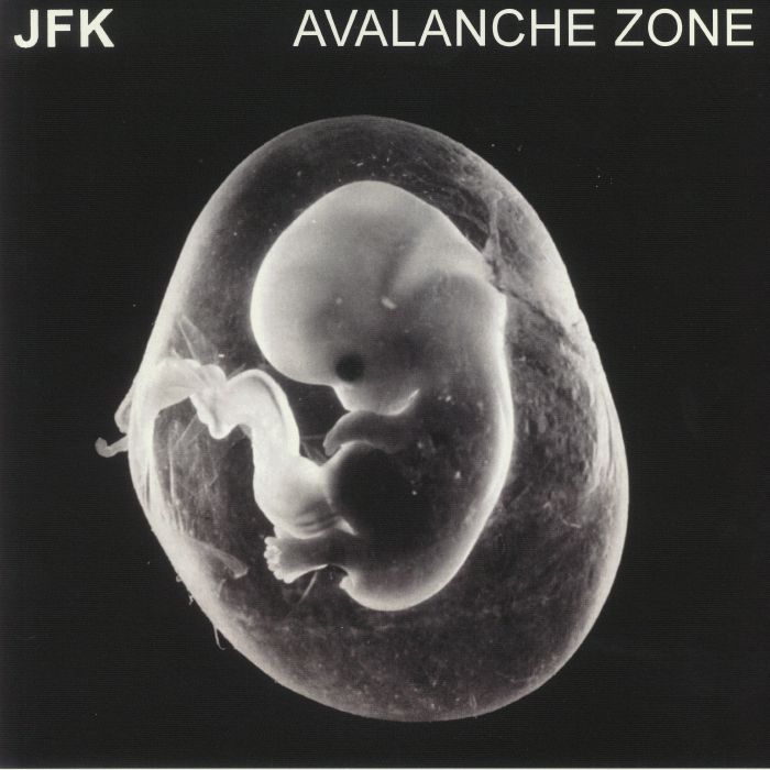 Jfk Avalanche Zone