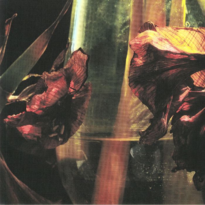 Hayvanlar Alemi – Psychedelia In Times Of Turbulence vinyl cover