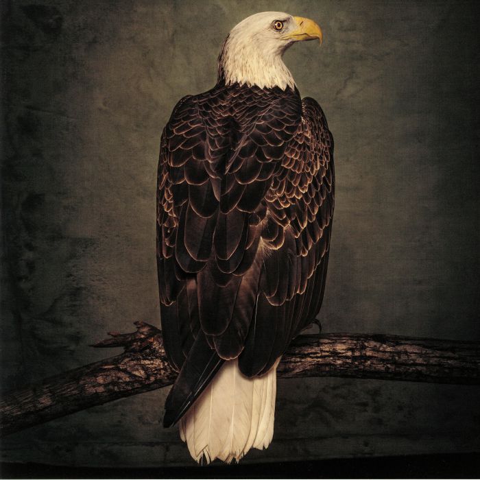 Clutch – Book Of Bad Decisions vinyl cover