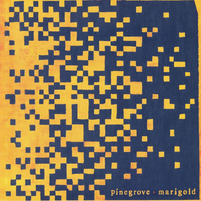 Pinegrove Marigold