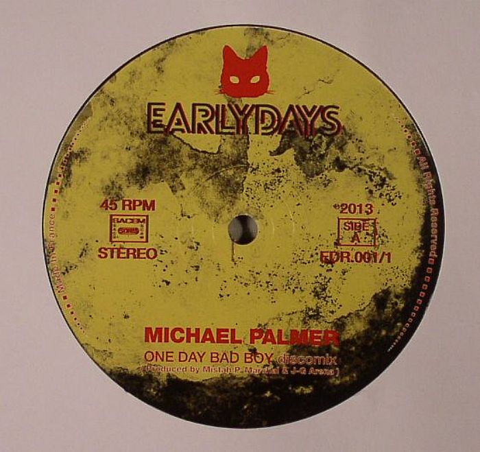 Michael Palmer One Day Bad Boy