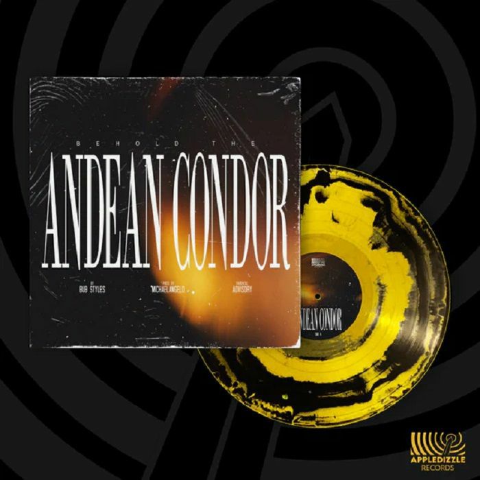 Bub Styles | Michaelangelo – Behold The Andean Condor vinyl cover