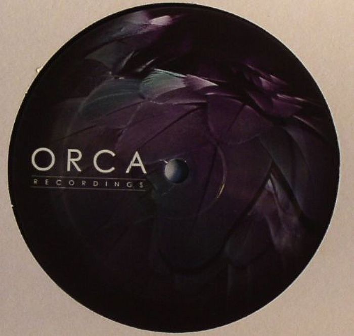 Hyetal – Phoenix vinyl cover