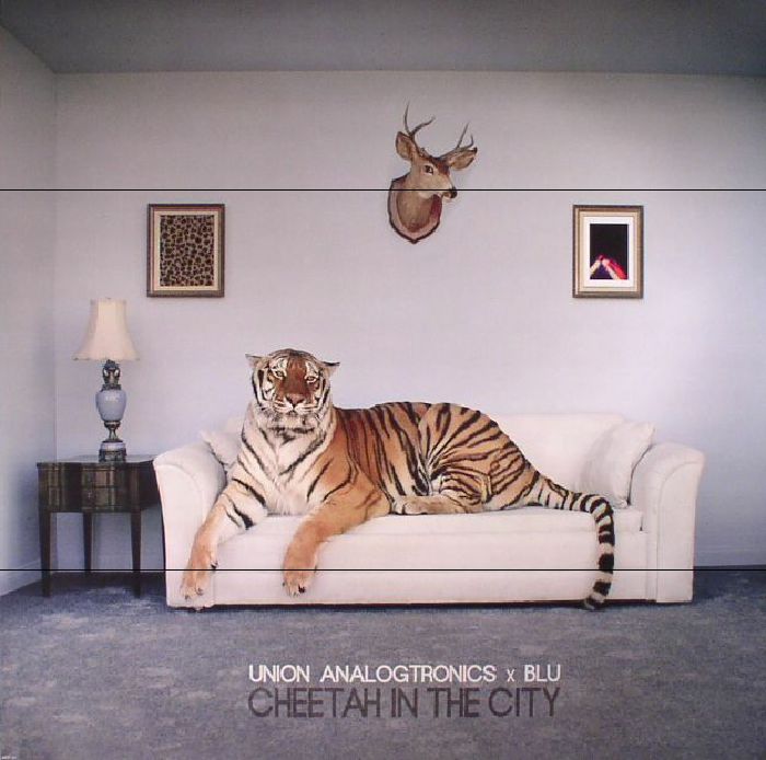 Union Analogtronics | Blu Cheetah In The City
