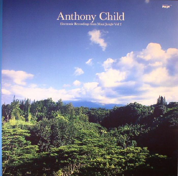 Anthony | Surgeon Child Electronic Recordings From Maui Jungle Vol 2