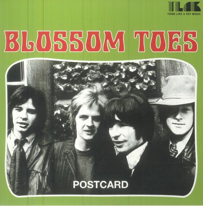 Blossom Toes Postcard