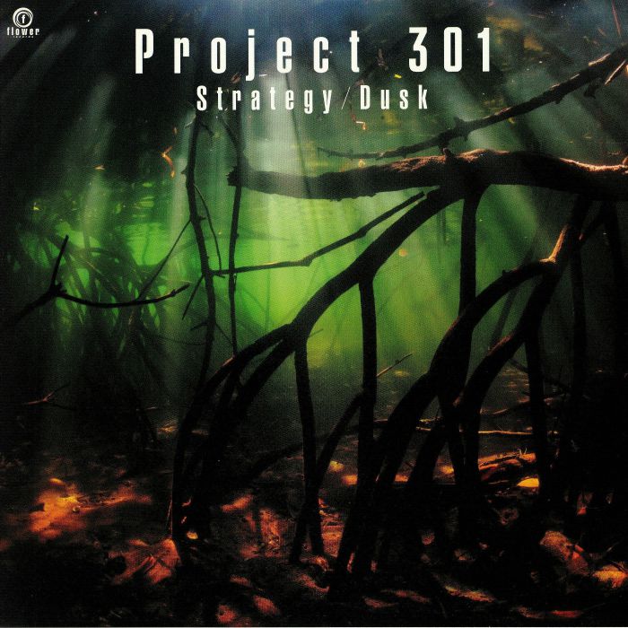 Project 301 Vinyl