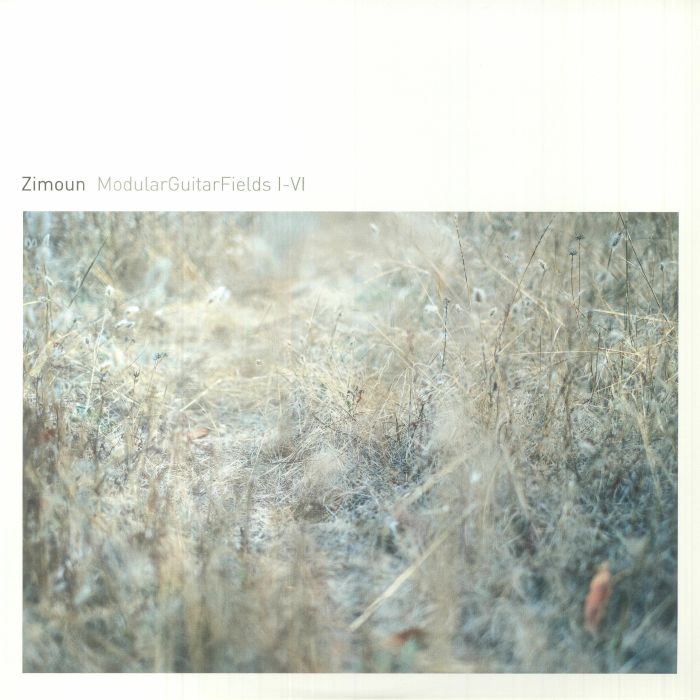 Zimoun Vinyl