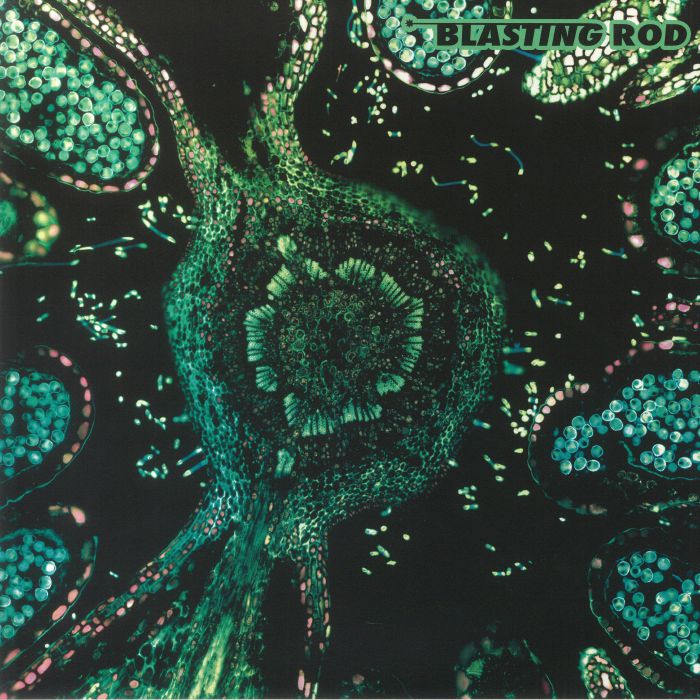 Blasting Rod – Of Wild Hazel vinyl cover
