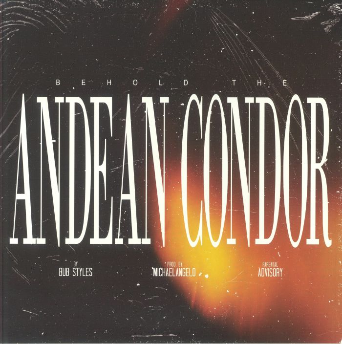 Bub Styles | Michaelangelo Behold The Andean Condor