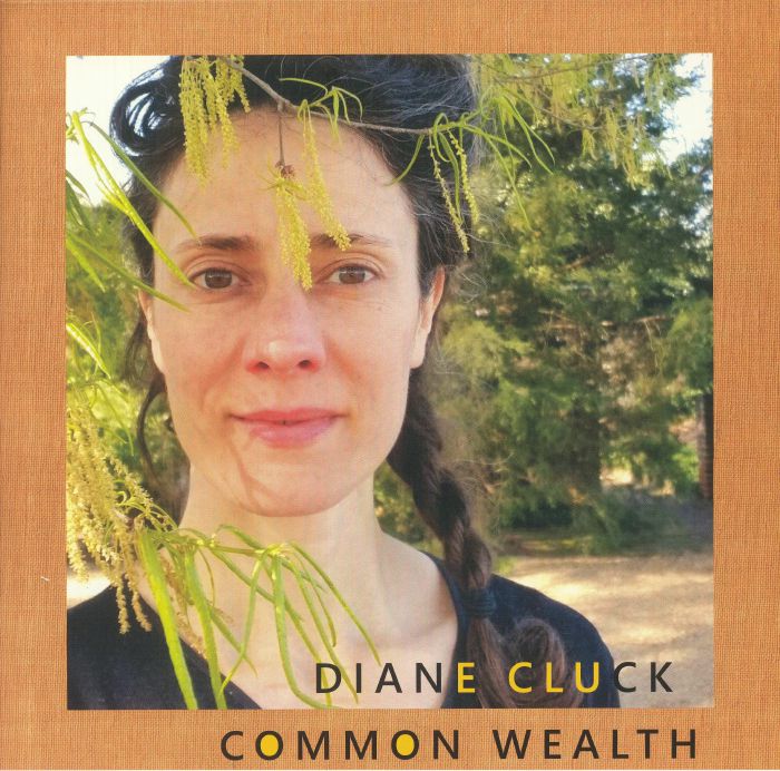 Diane Cluck Common Wealth