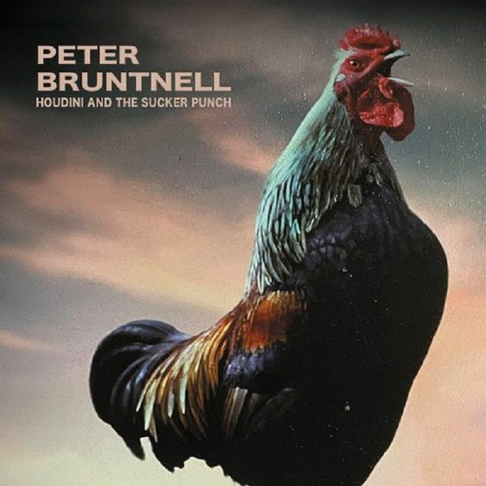 Peter Bruntnell Houdini and The Sucker Punch