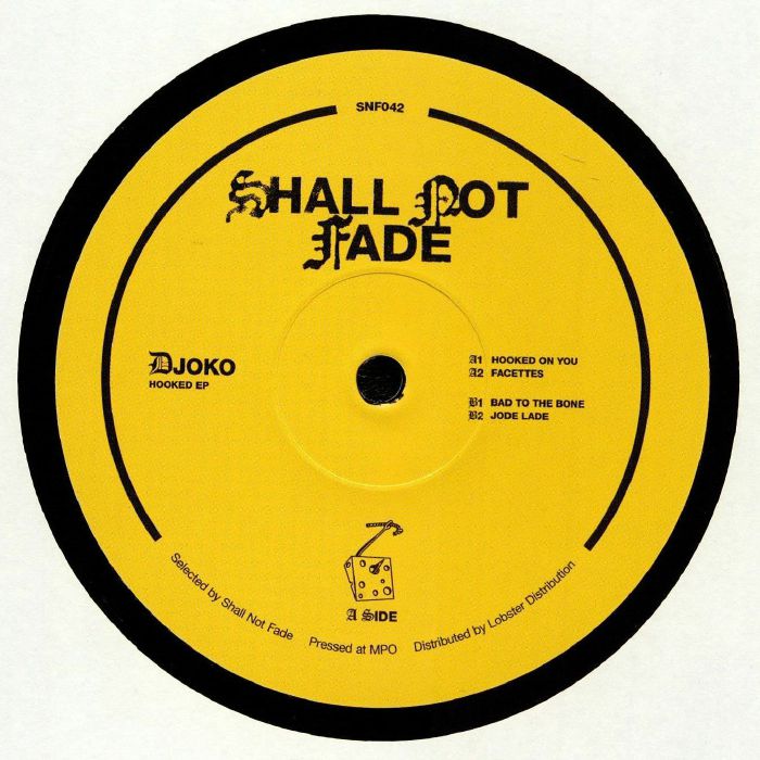 Djoko – Hooked EP vinyl cover