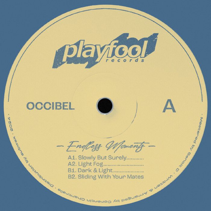 Playfool Vinyl