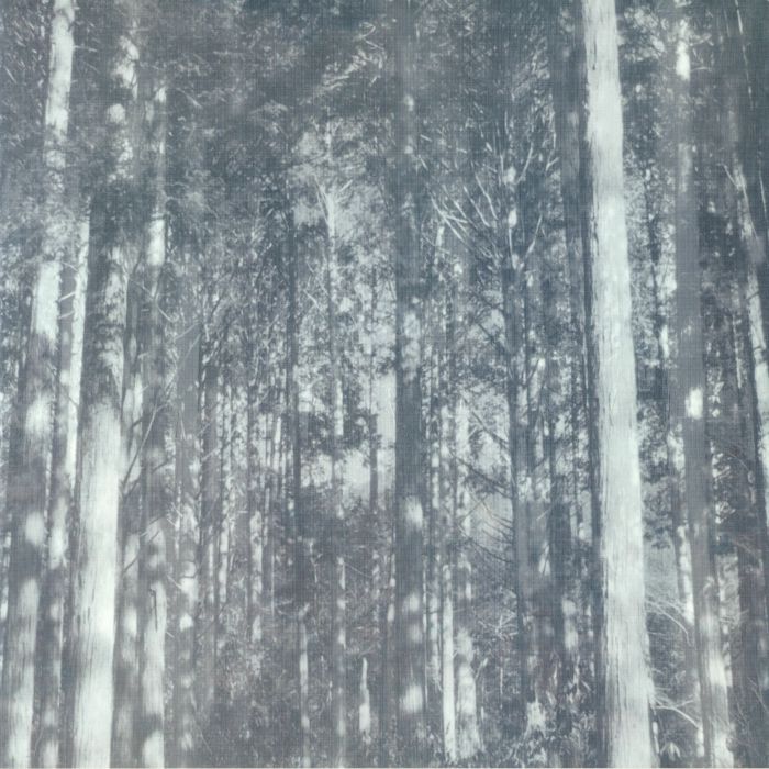 Takamasa Tomae I Extracted A Phenomenon Flowing In Part Of A Certain Forest & Recorded It Here
