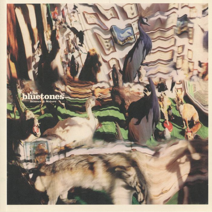 The Bluetones Science and Nature