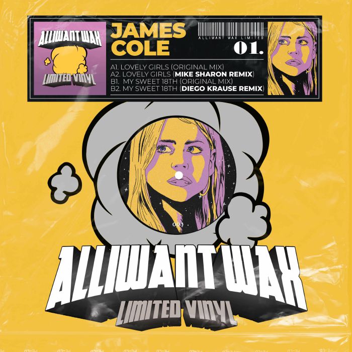 Alliwant Wax Vinyl