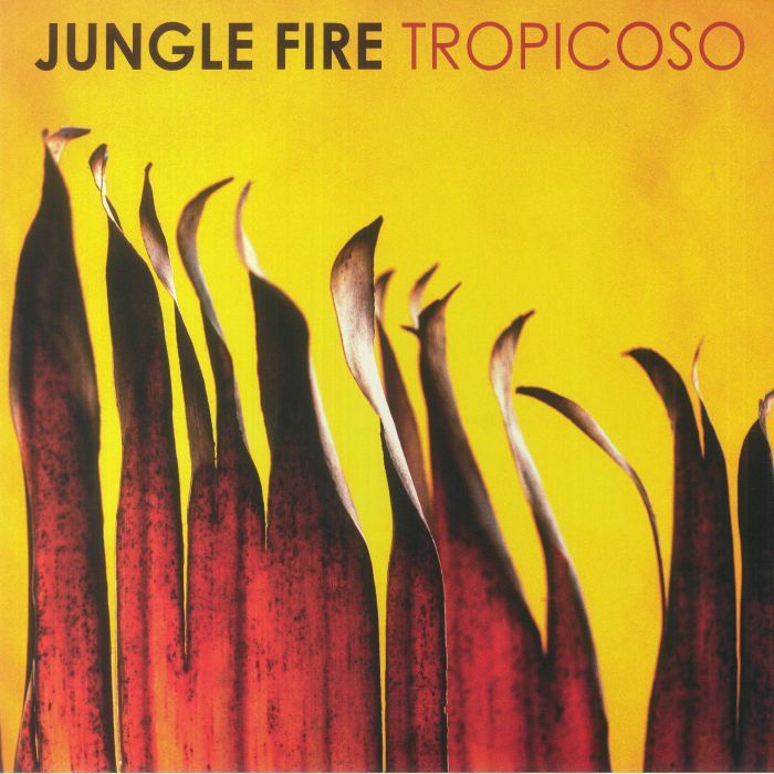Jungle Fire Tropicoso (B STOCK)