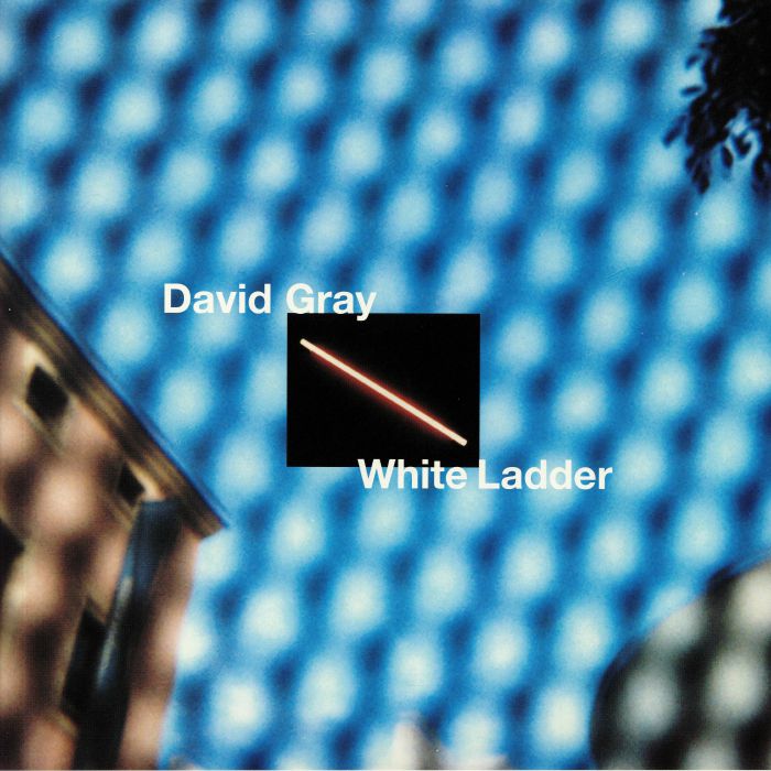 David Gray White Ladder