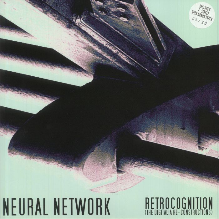 Neural Network Retrocognition: The Digitalia Re Constructions