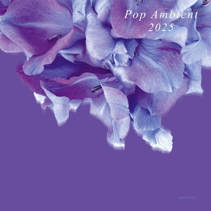 Various Artists Pop Ambient 2025