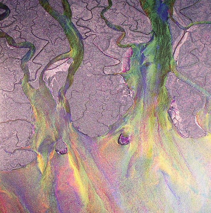 Alt J – An Awesome Wave vinyl cover