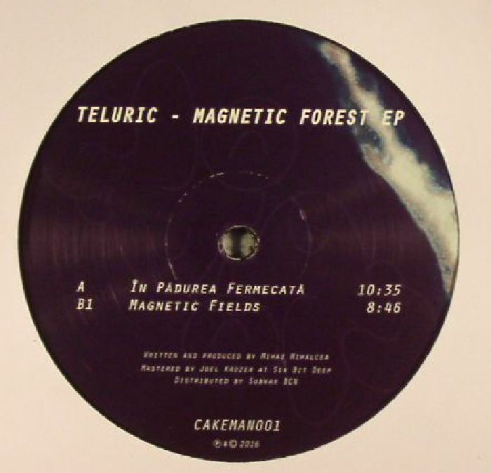 Teluric Magnetic Forest EP