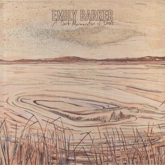 Emily Barker – A Dark Murmuration Of Words vinyl cover