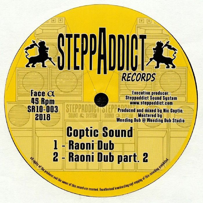 Stepaddict Productions Vinyl