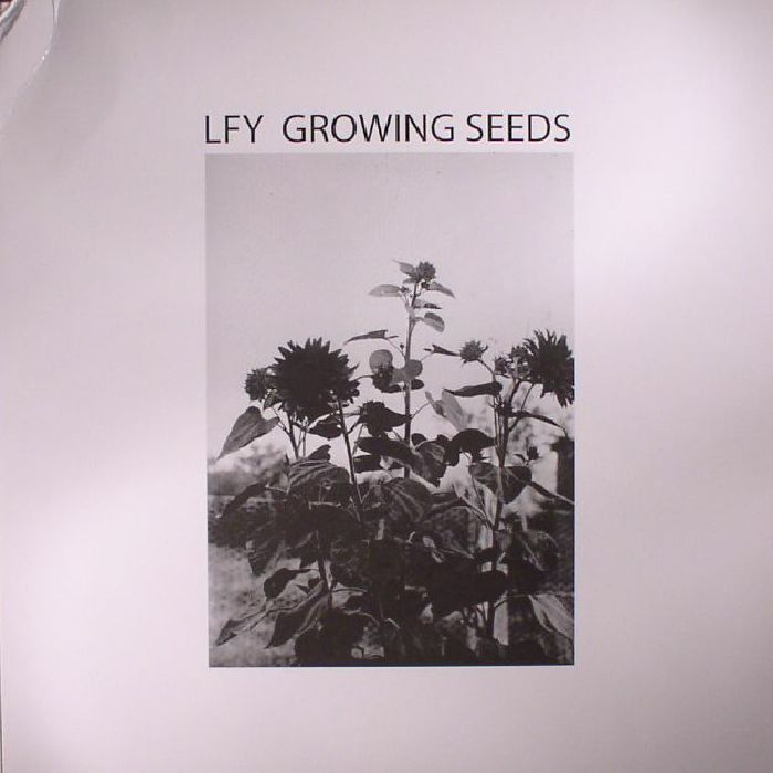 Lust For Youth Growing Seeds