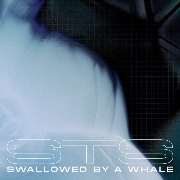 Sts Swallowed By A Whale