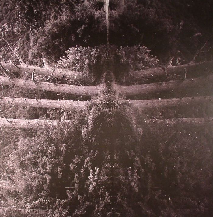 Membrane Reflect Your Pain