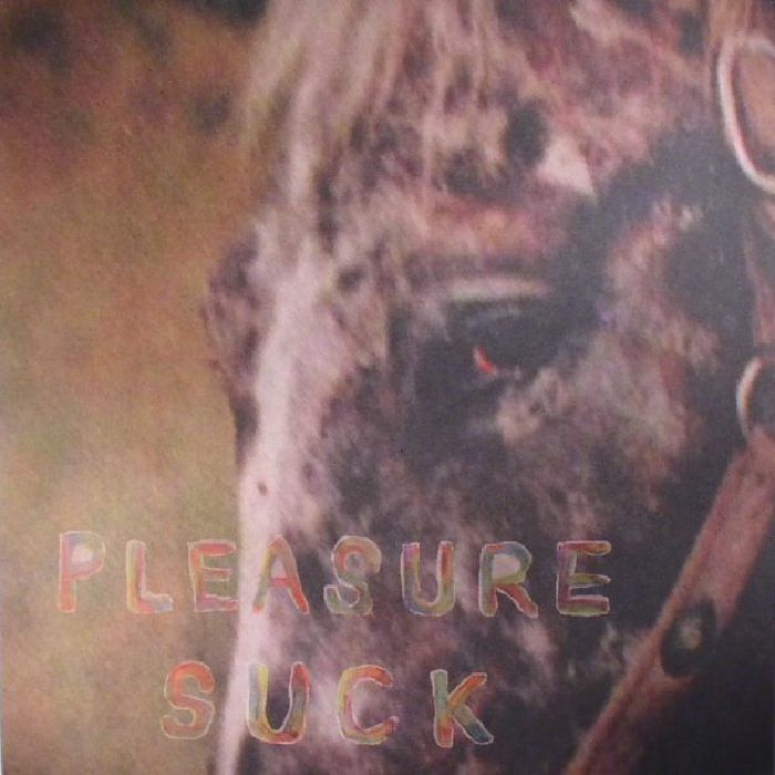 Spirit Of The Beehive – Pleasure Suck vinyl cover