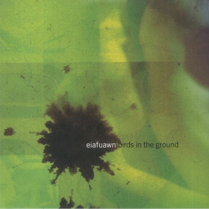 Eiafuawn – Birds In The Ground vinyl cover