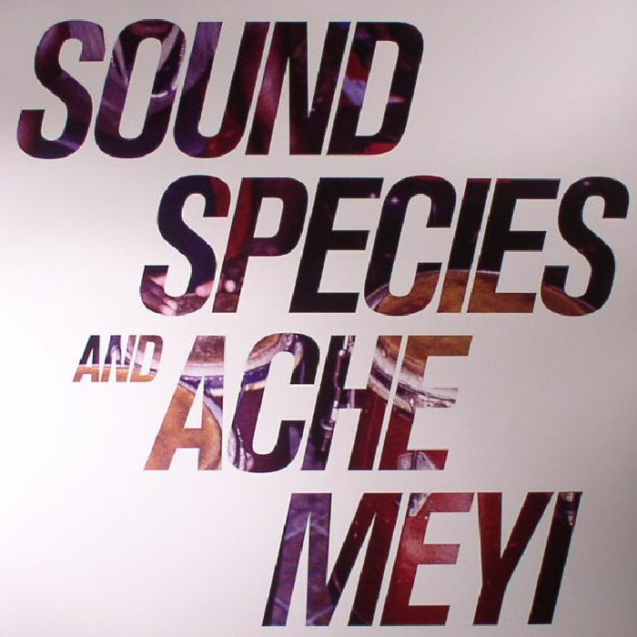 Soundspecies | Ache Meyi Soundspecies and Ache Meyi