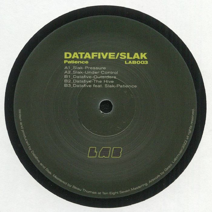 Datafive Vinyl