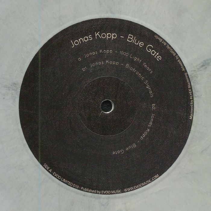 Jonas Kopp Blue Gate