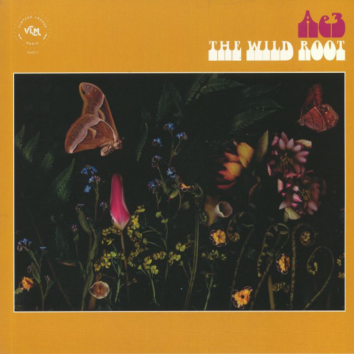 Ae3 | Alan Evans Trio The Wild Root