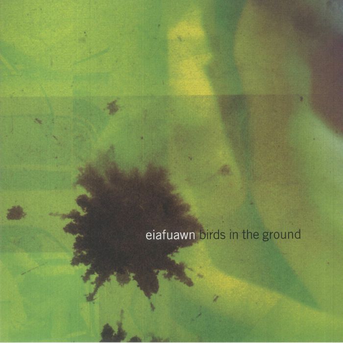Eiafuawn Birds In The Ground