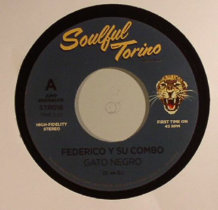 Soulful Torino Vinyl
