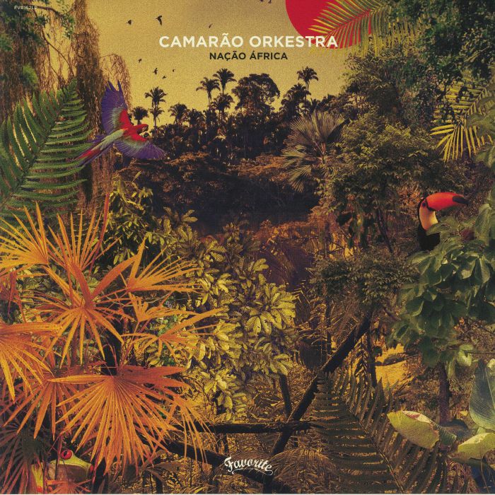 Camarao Orkestra Nacao Africa