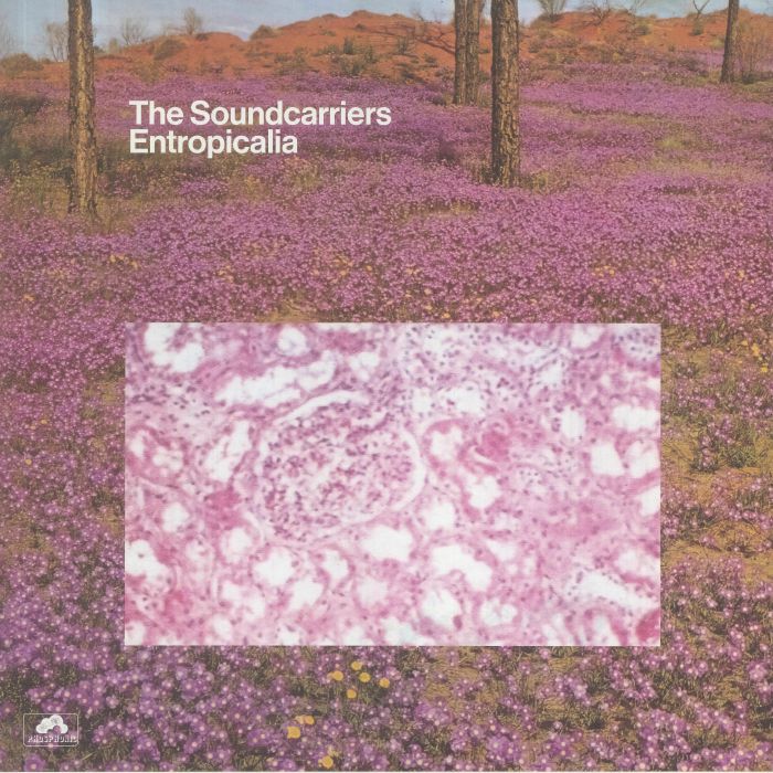 The Soundcarriers Entropicalia