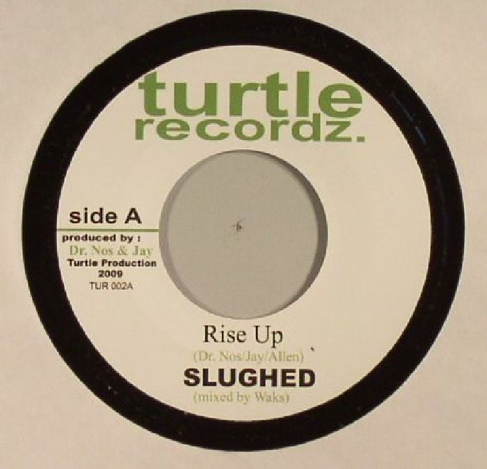 Turtle Vinyl