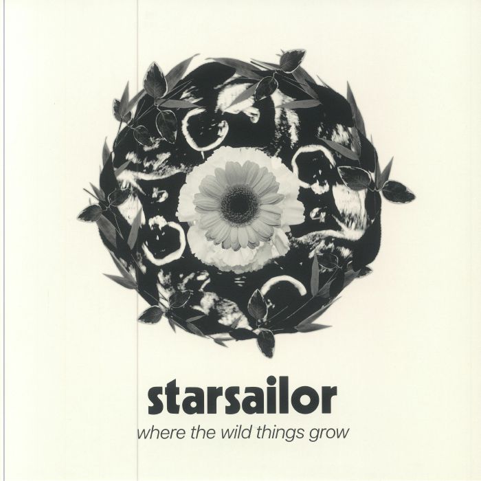 Starsailor Where The Wild Things Grow
